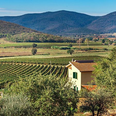 Poggiolivi Agriturismo Bio In Maremma Альберезе Номер фото