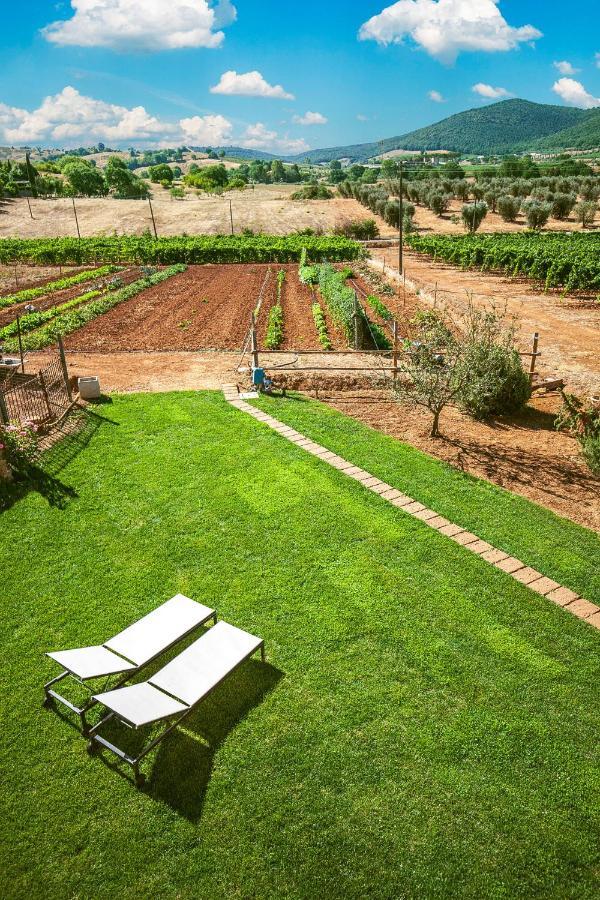 Poggiolivi Agriturismo Bio In Maremma Альберезе Экстерьер фото